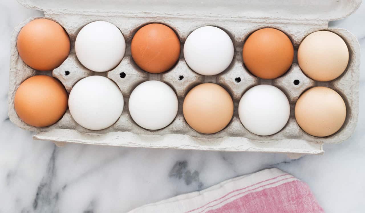 Clara Foods creates eggs without chickens