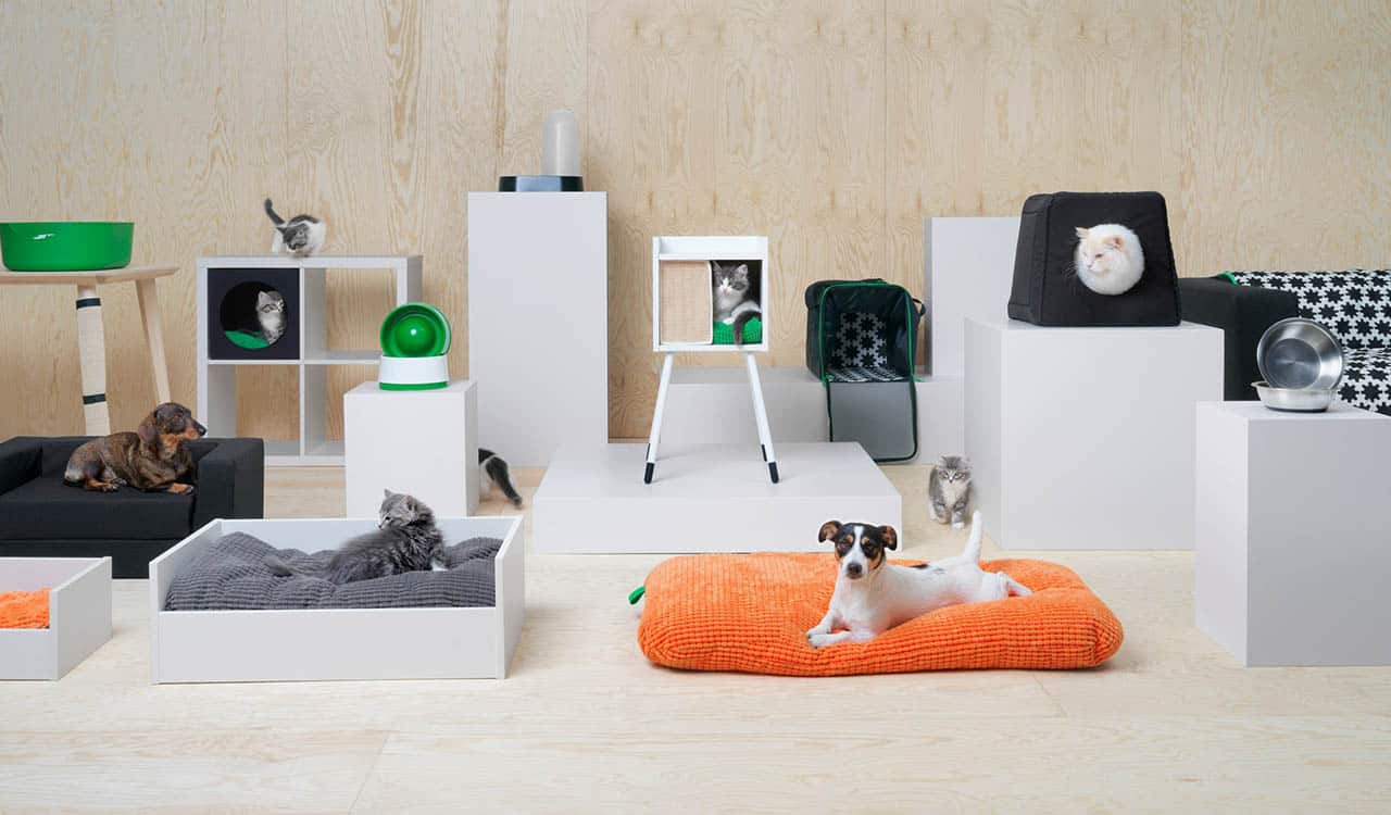 New furniture range caters for cats and dogs