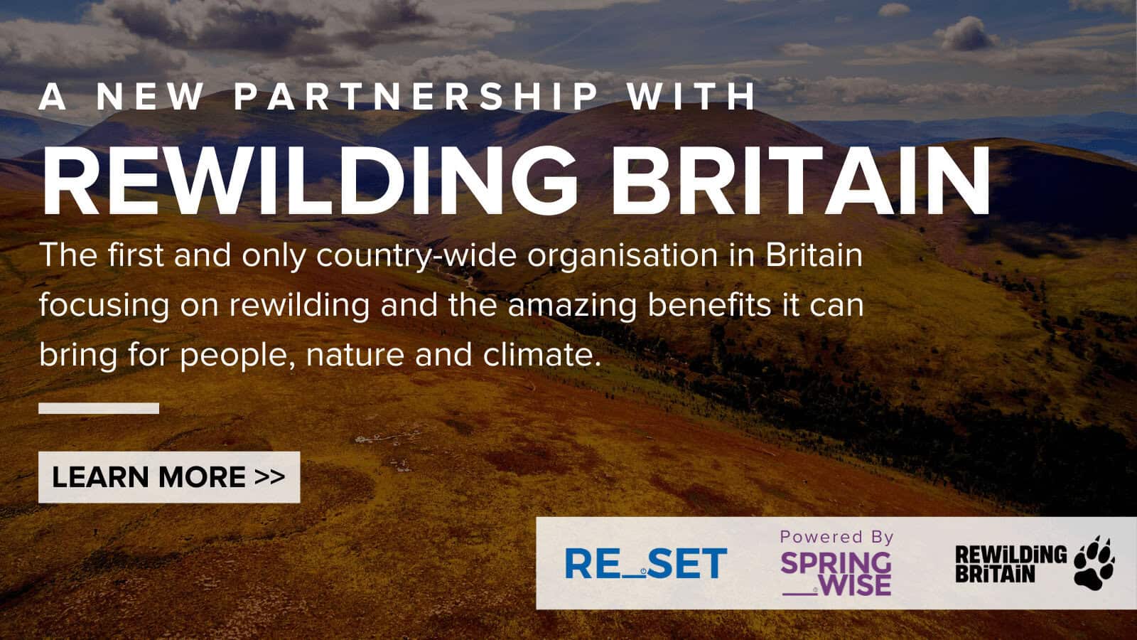 Re_Set and Springwise Announce new partnership with Rewilding Britain