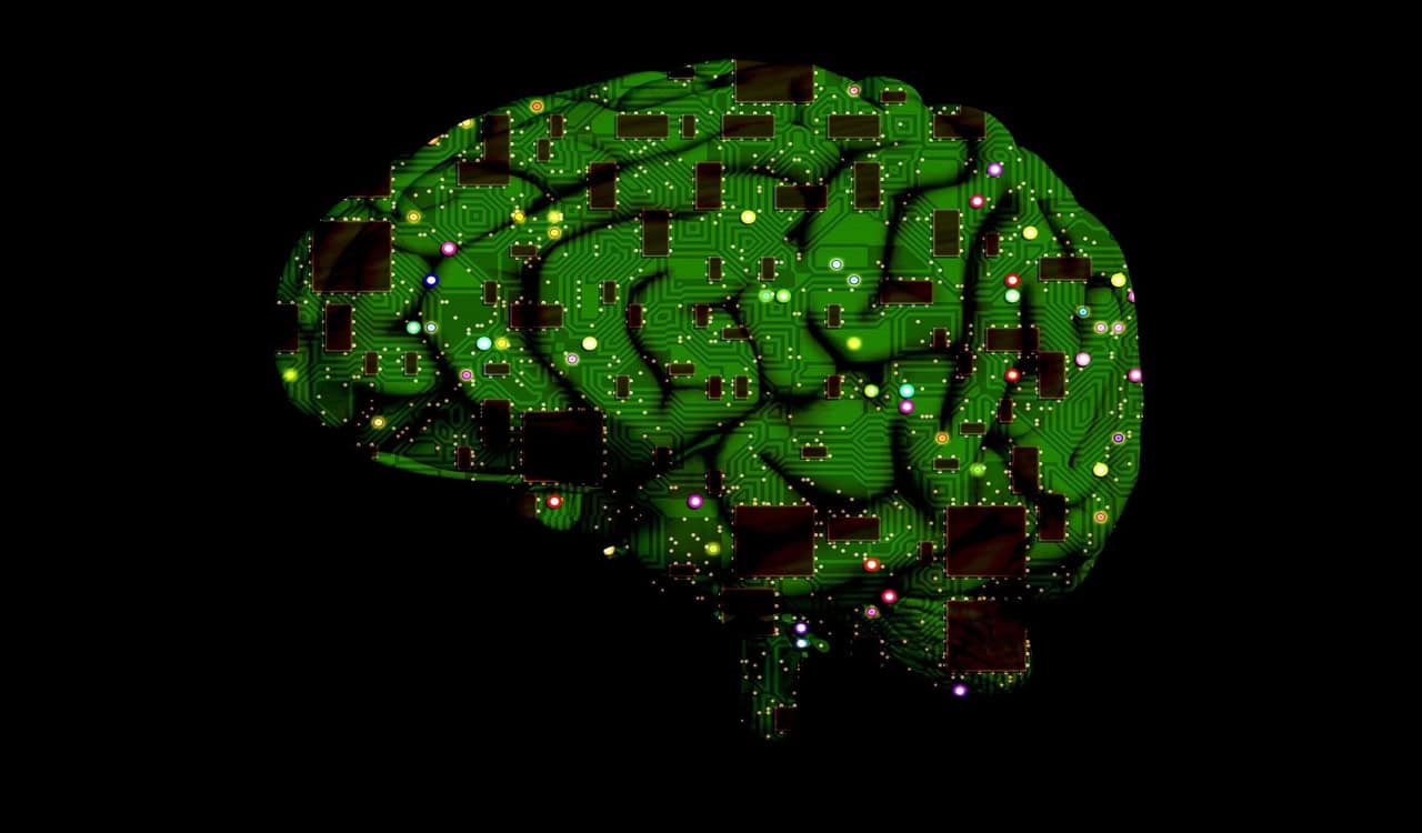 AI system creates synthetic brain scans