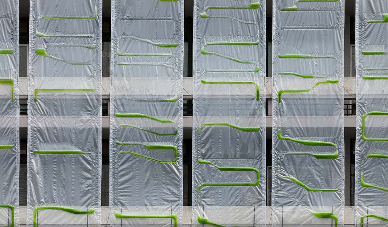 Curtain made of algae makes building more sustainable