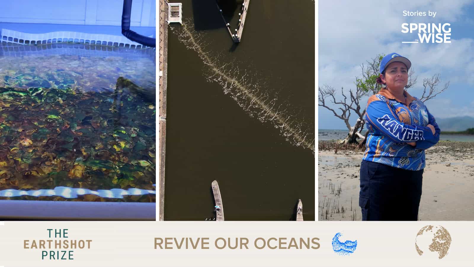 Australia’s first bulk eco-refill station