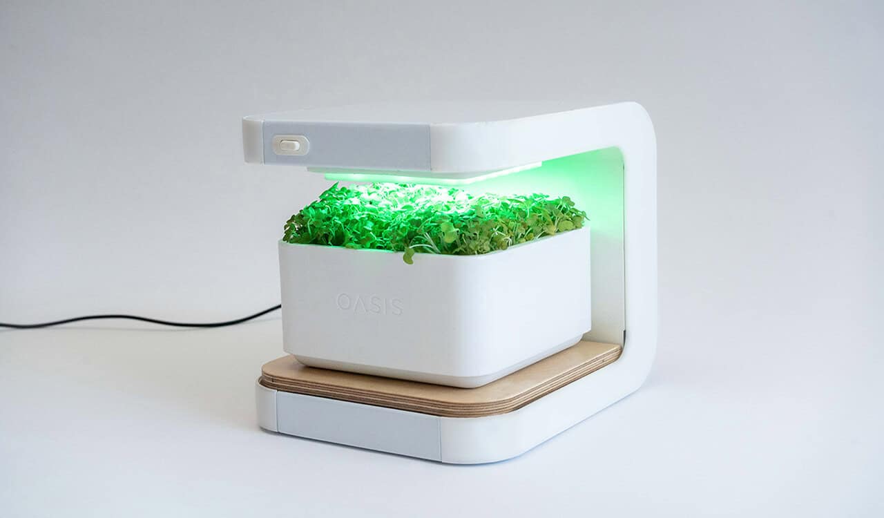 UK startup uses smart lights to grow more nutritious and tastier herbs