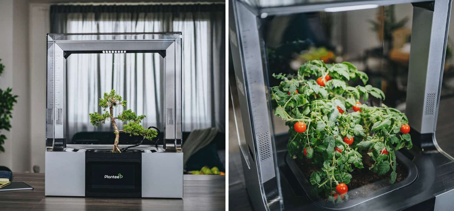 An indoor greenhouse that creates ideal growing conditions