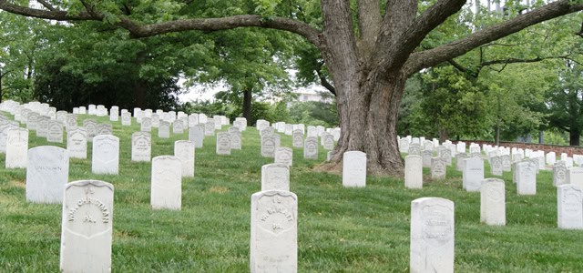 Cemetery visits with an interactive twist