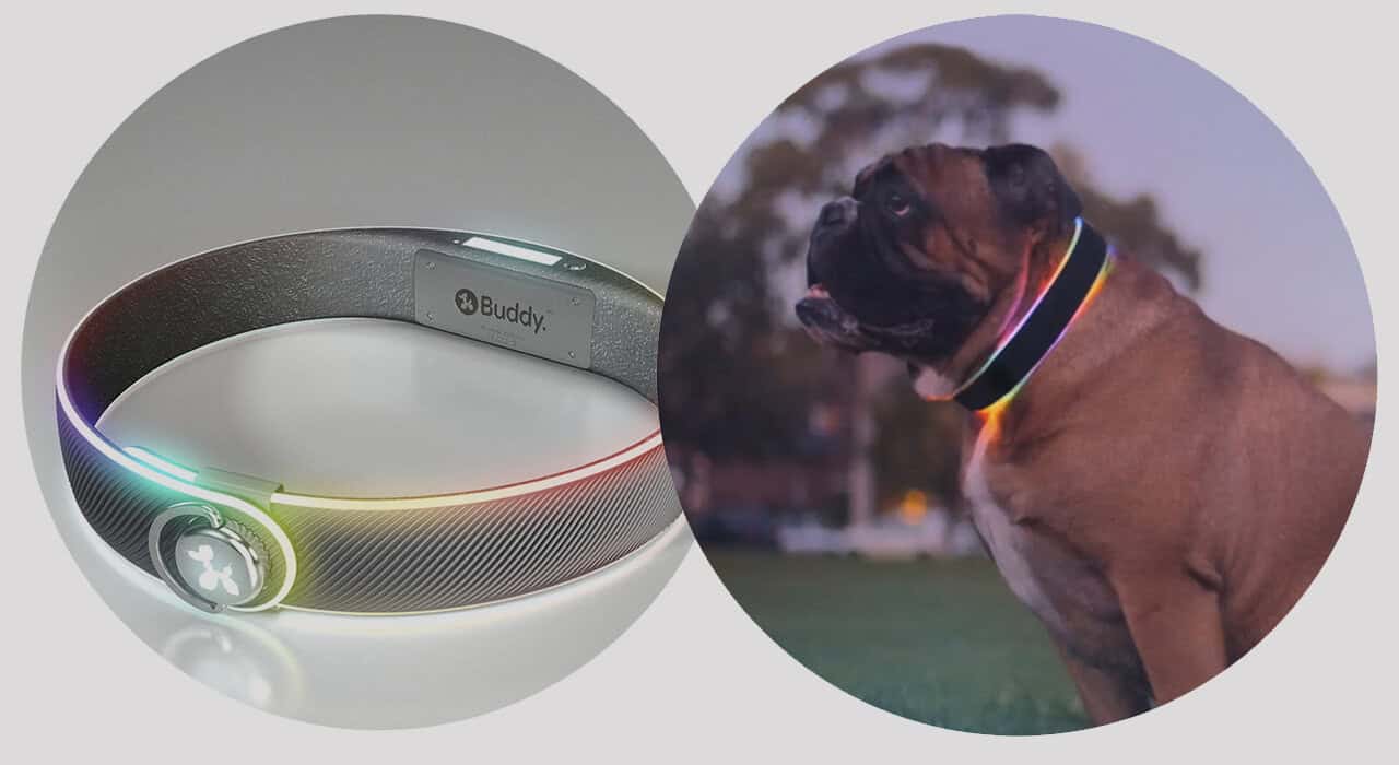 Collar-mounted tracker quantifies dogs