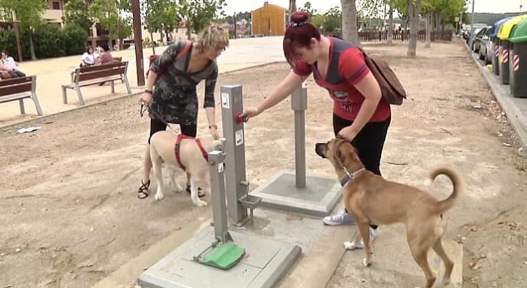 In Madrid, dog poo left in public places is mailed back to owners