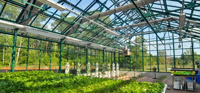 An indoor greenhouse that creates ideal growing conditions