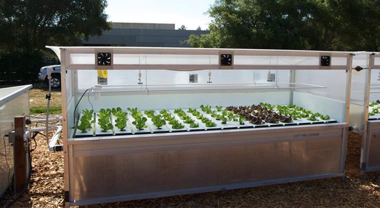 4-acre urban farm is made up of multiple residents’ gardens