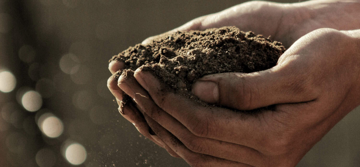 Device transforms mountain of manure into powdered, odourless fertiliser