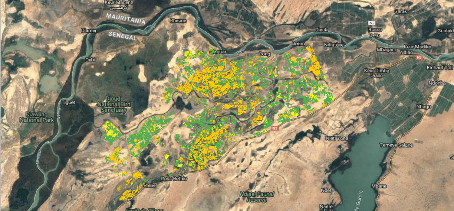 AI and geospatial tech: a new era for green farming