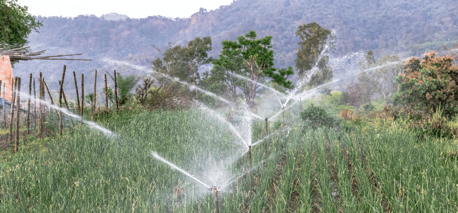 AI-driven irrigation: the future of efficient water use