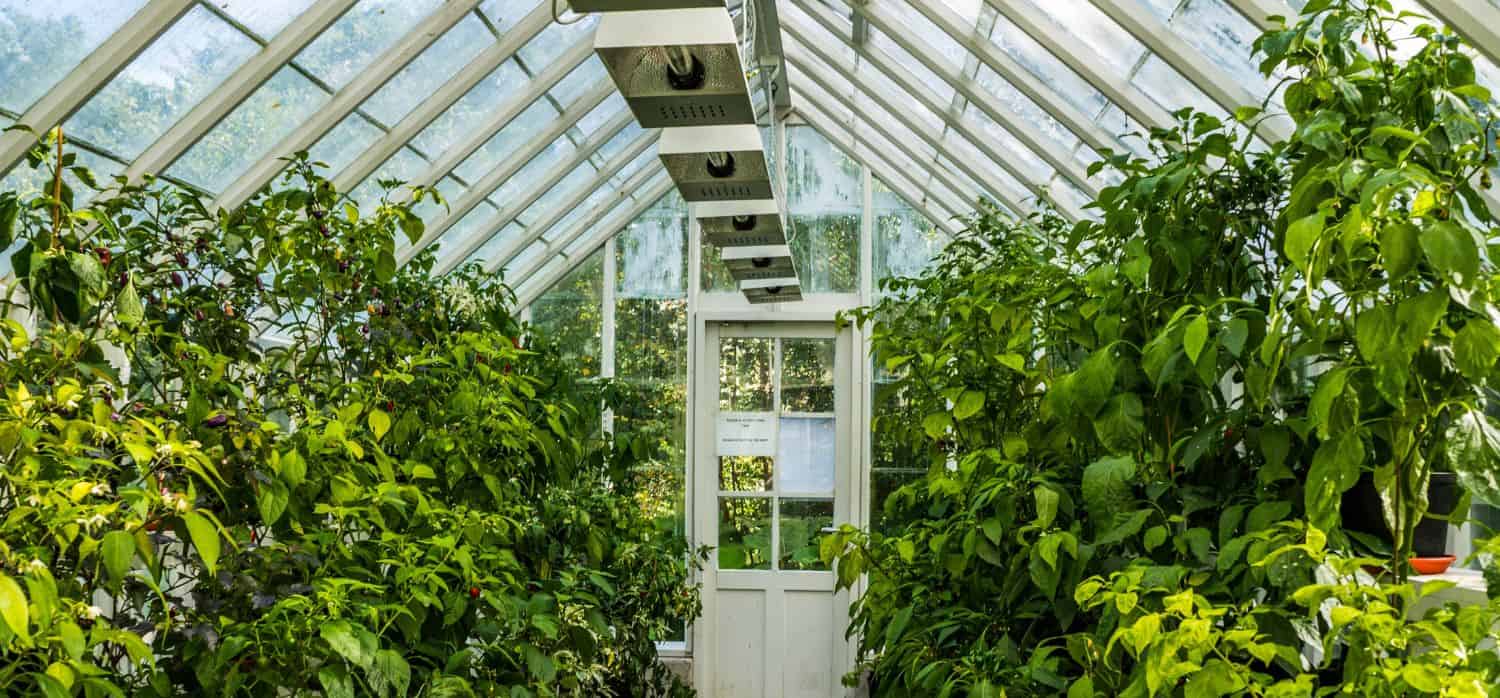 Greenhouses boosted by a spray coating