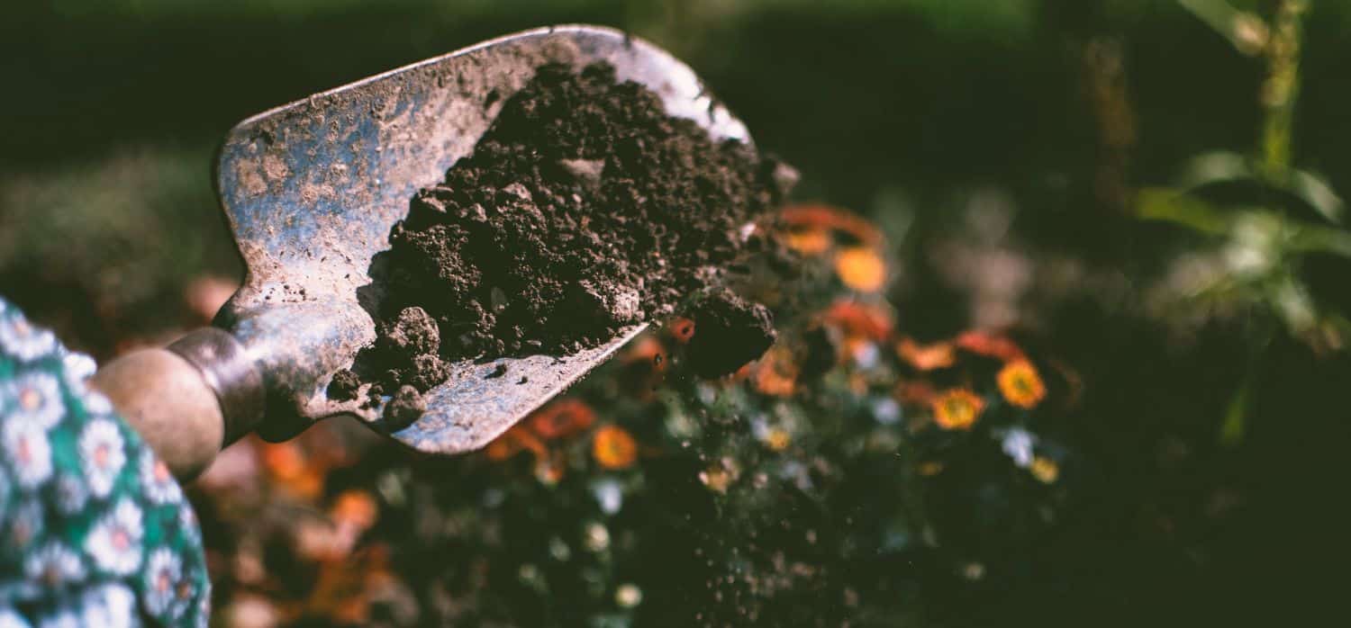 Analysing environmental DNA in soil