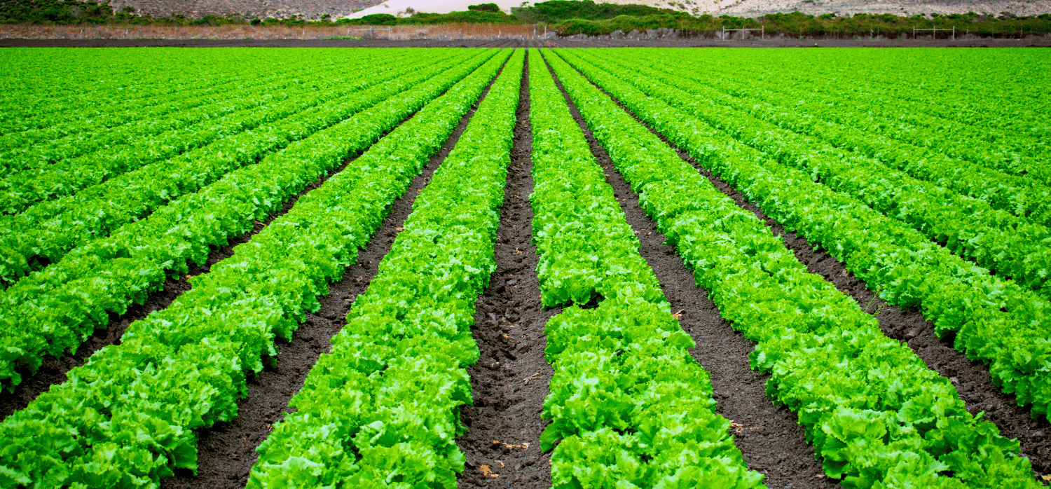 Crop care products based on sustainable materials