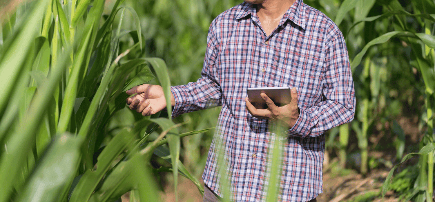 Digital tech supports smallholder farmers in Ghana 