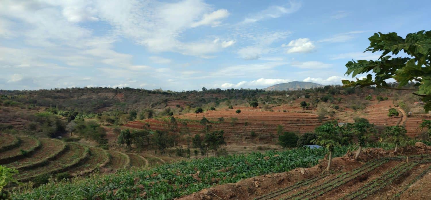 Transforming farming with solar irrigation kits