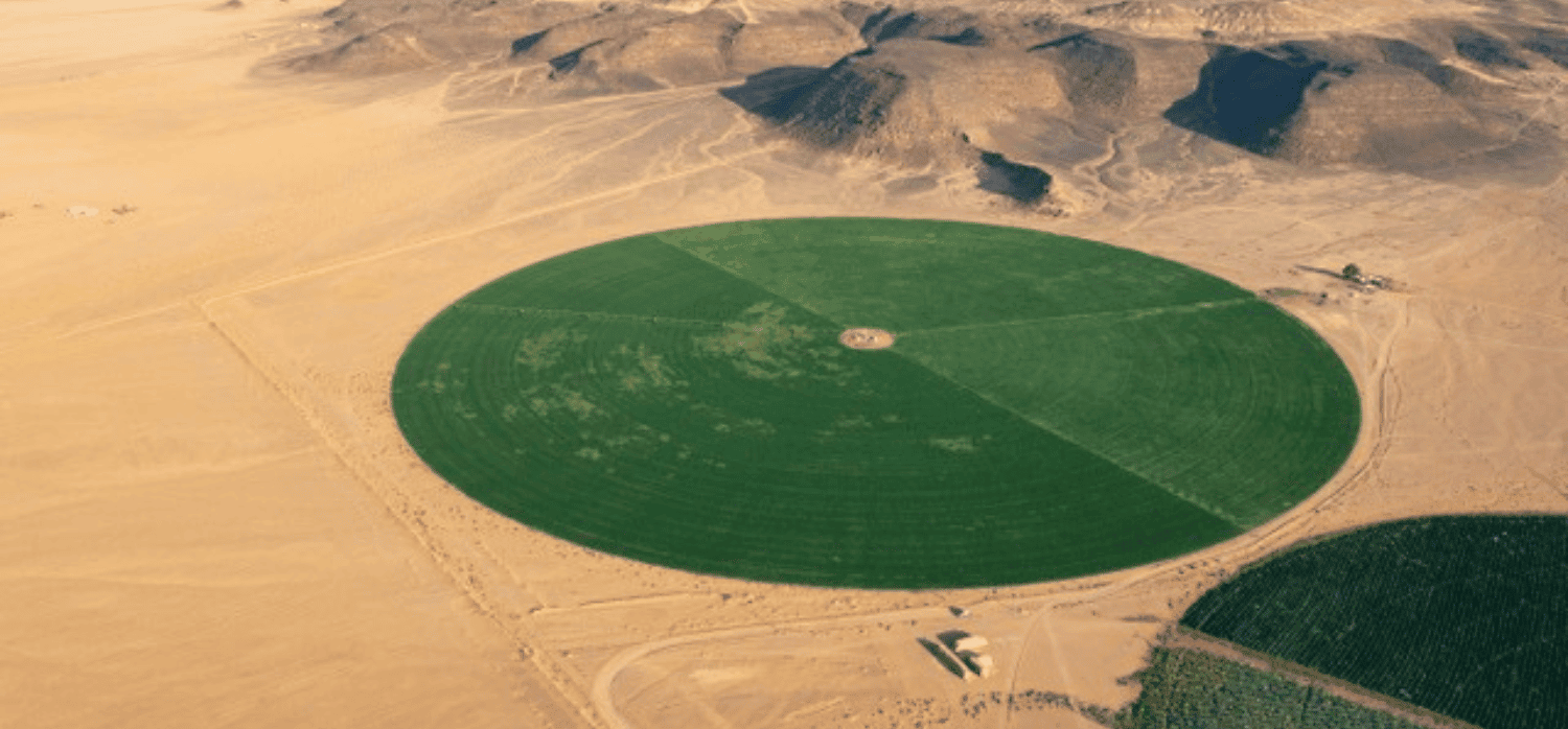 Greener deserts: microalgae turns sand into soil