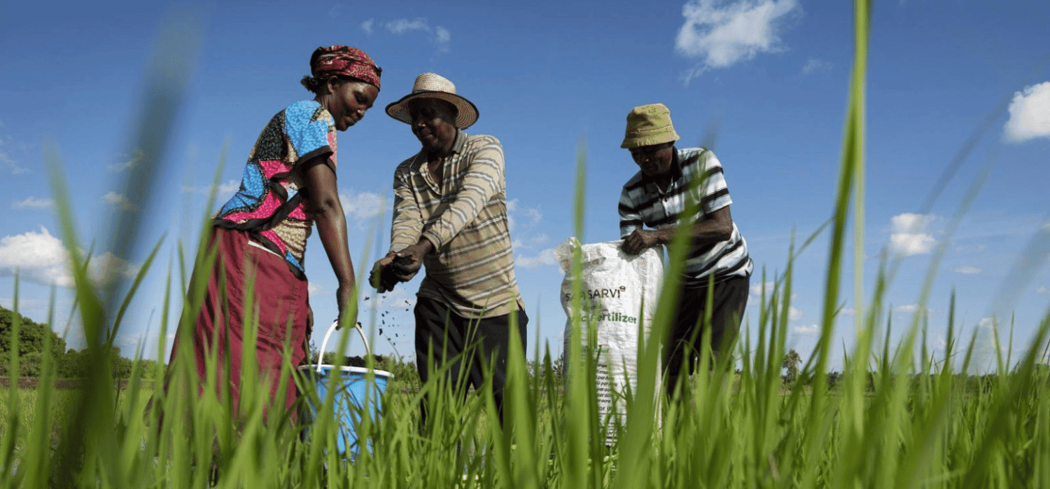 Cassava and rice husks: from farm waste to fertiliser