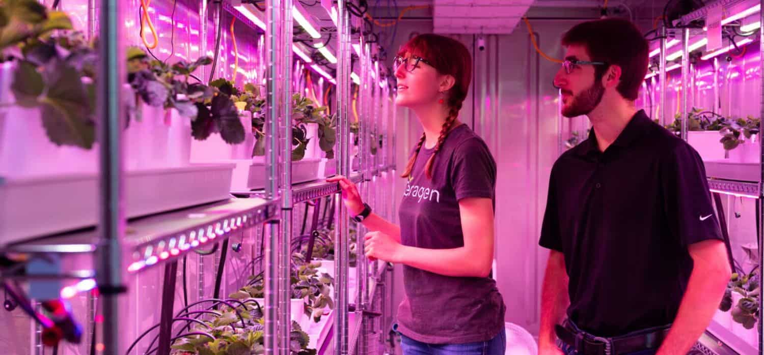 Microbes boost hydroponic crop-growing