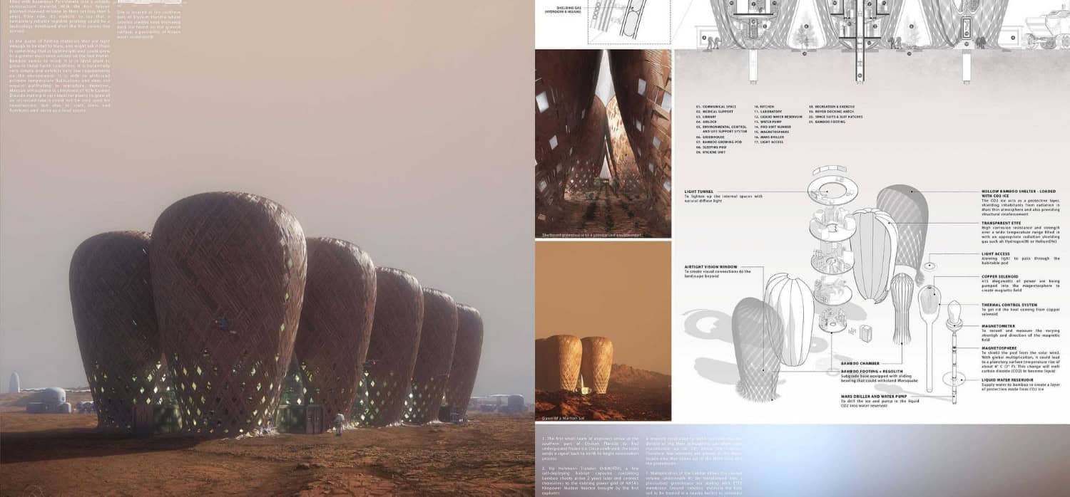 A proposal to build bamboo colonies on Mars