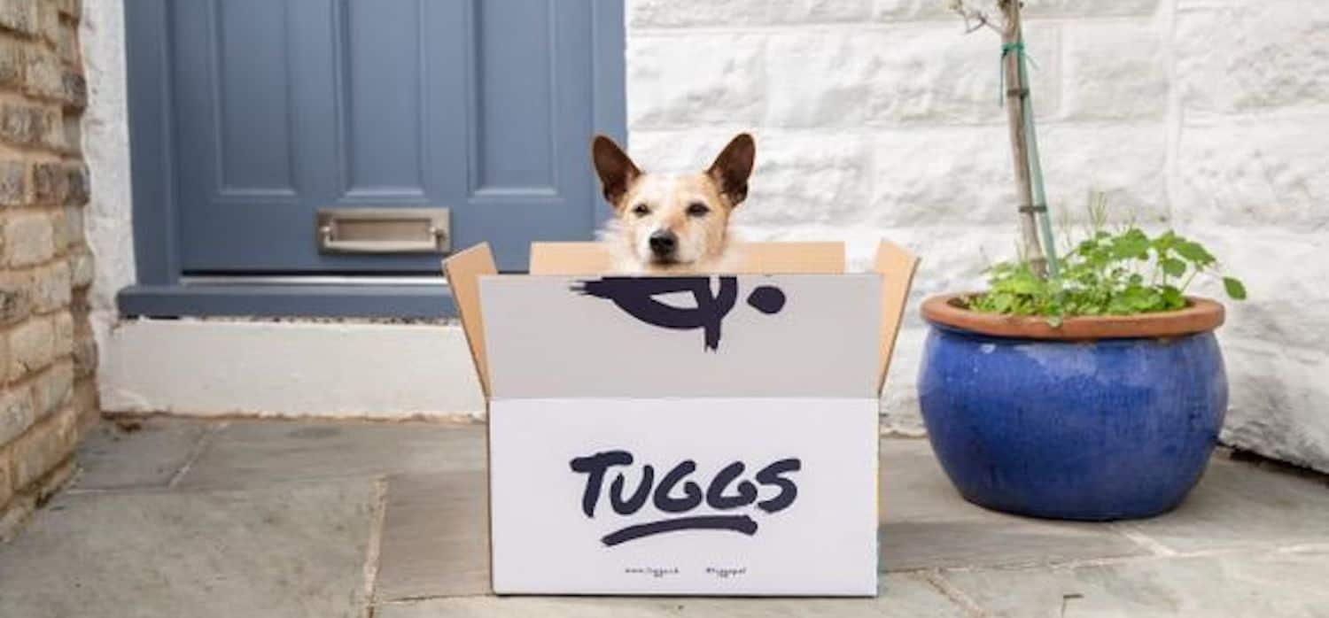 Greener dog food delivered to your door