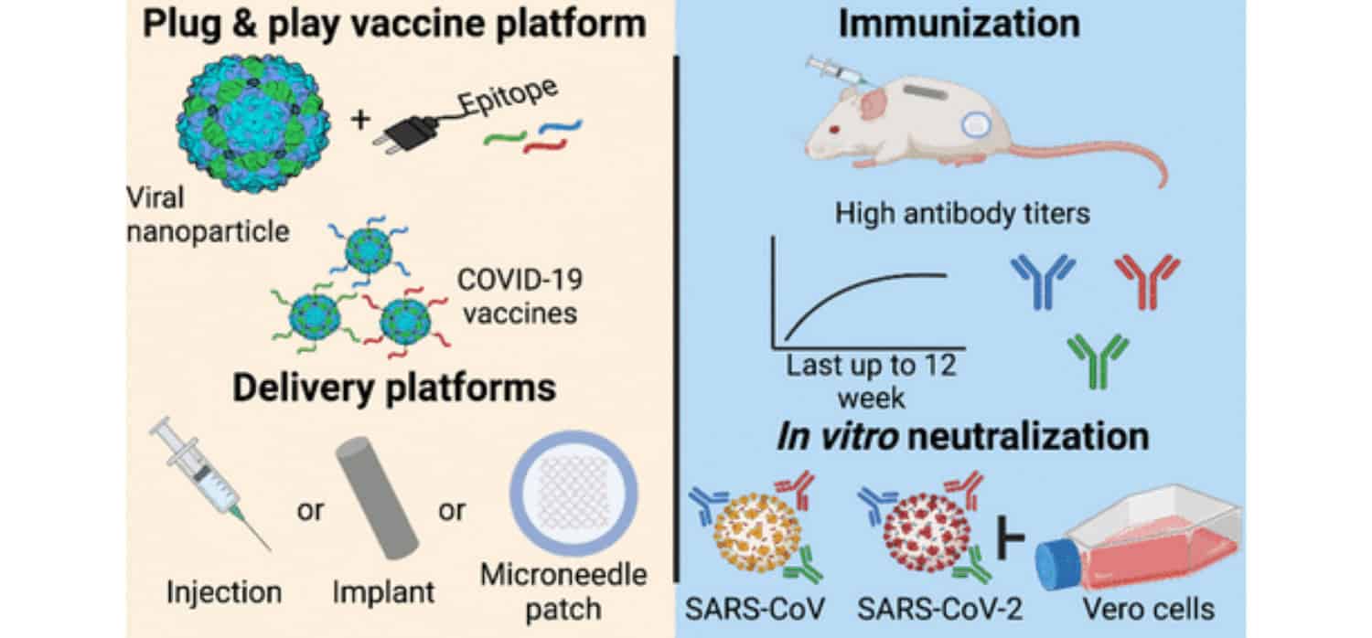 French biotech firm develops long-lasting flu vaccine