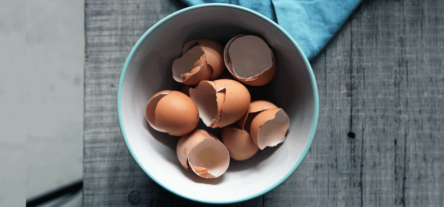 Inflatable egg carton promotes cage-free eggs