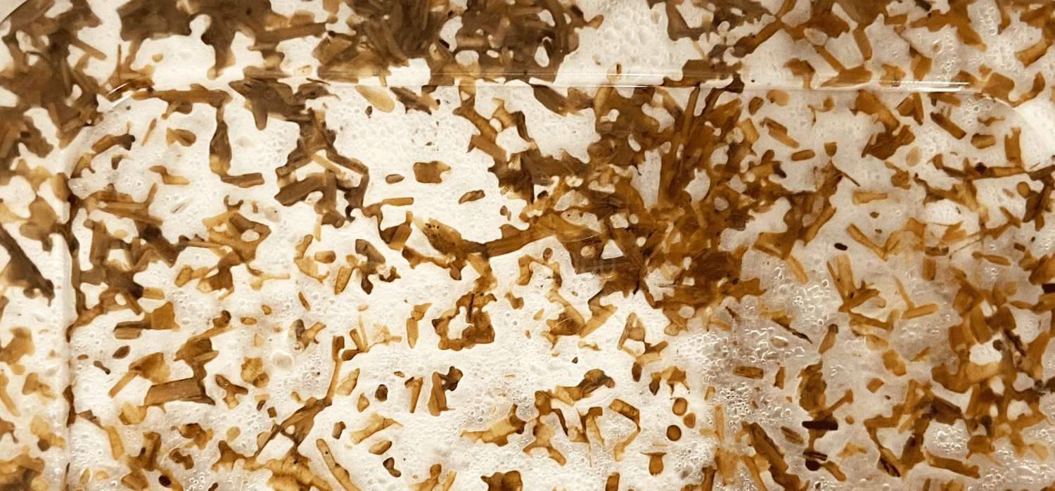 Insulation made from mycelium