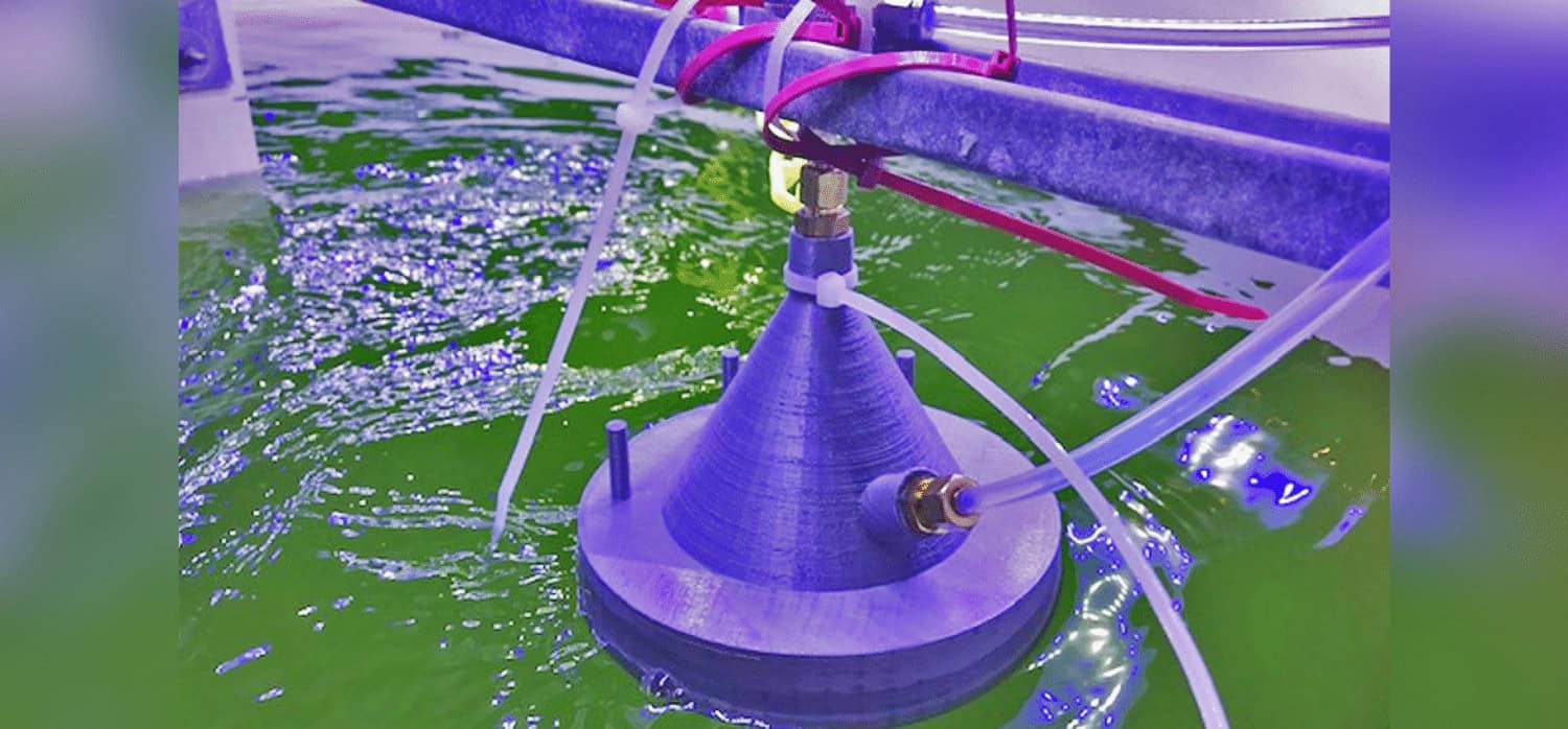 Mass producing algae, no matter the environment