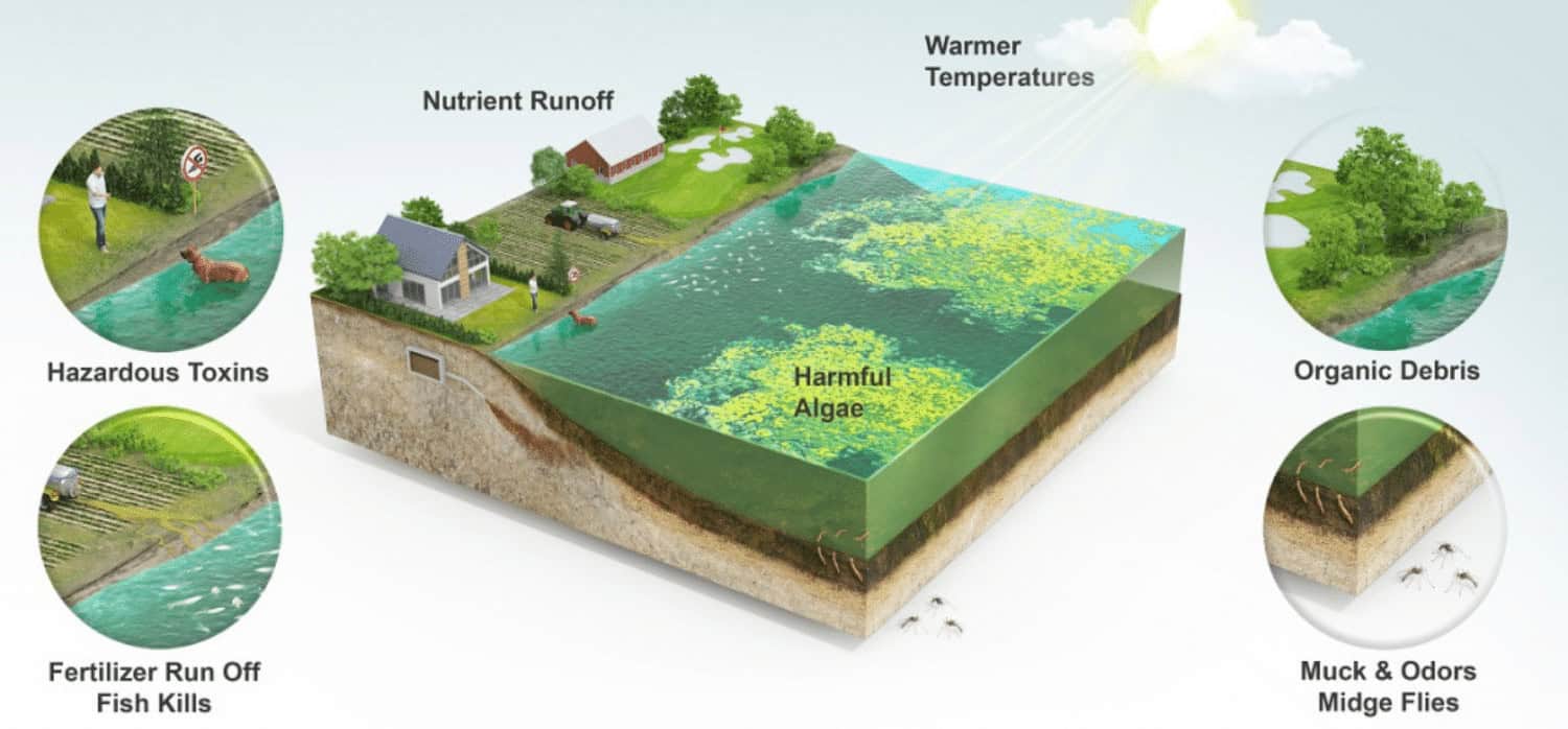 An industrial-scale system for chemical-free water treatment