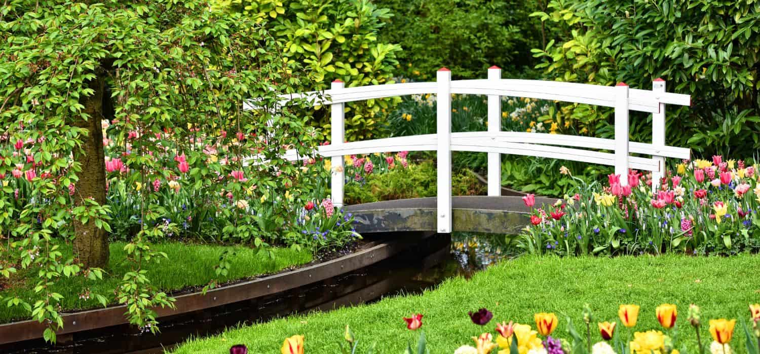 Dutch shoppers pick own herbs in supermarket garden