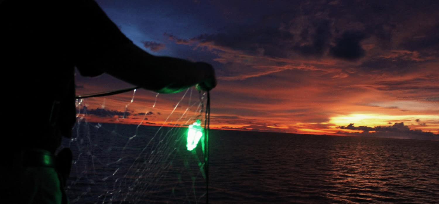 Smart fishing net reduces the impact on marine life