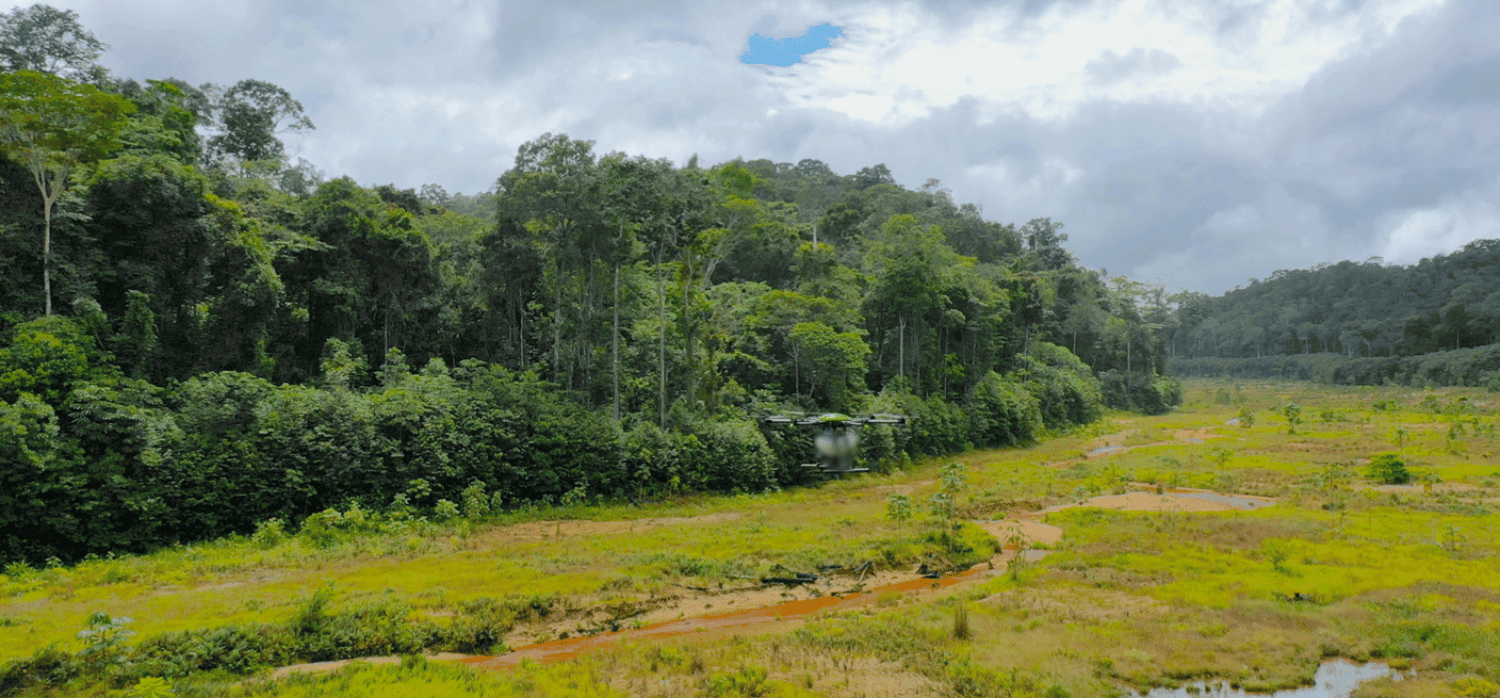 AI-powered drones for replanting forests