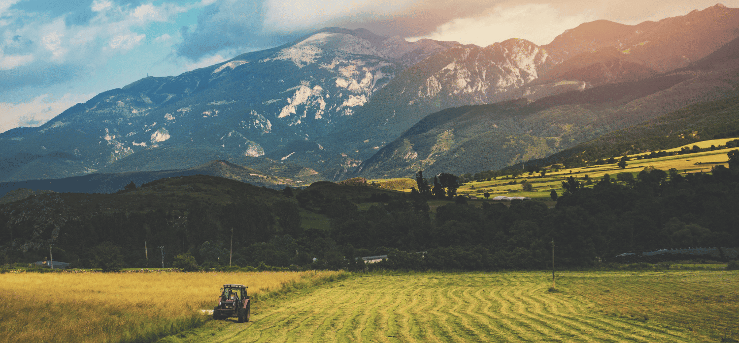 How can blockchain boost biodiversity on farmland?