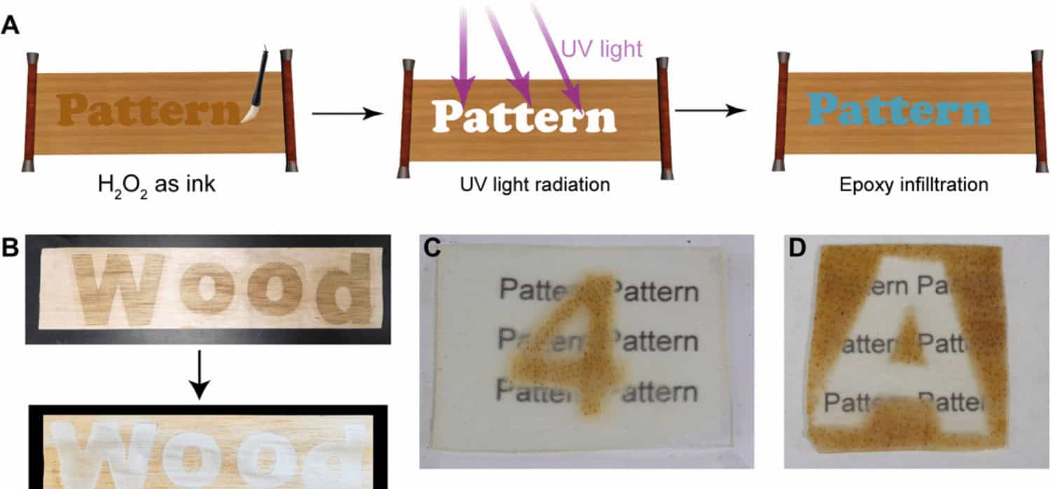 3D printing used to recreate natural wood internal patterning