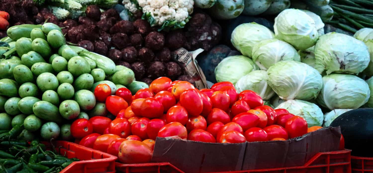 A countertop appliance for turning food waste into compost