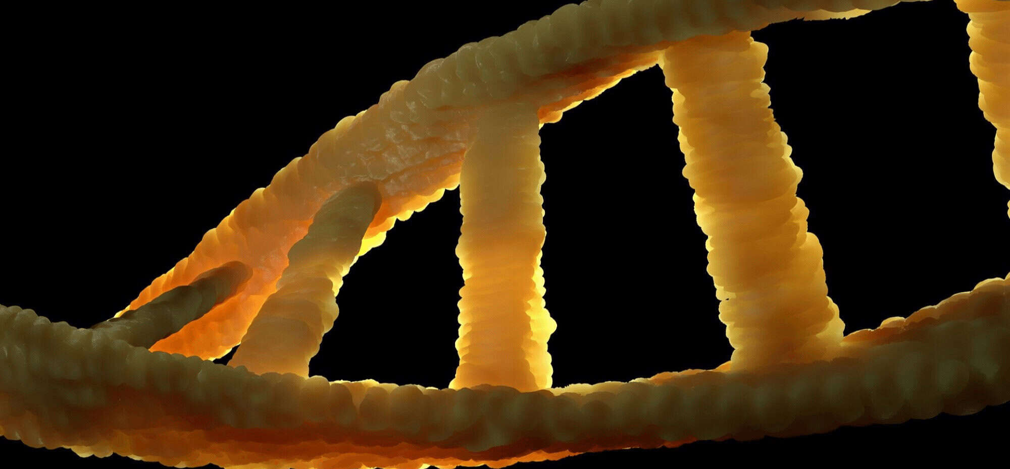 Monitoring biodiversity using DNA