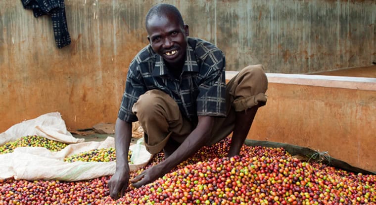 Olive mill wastewater turned into biofuel and fertilizer